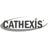 Sales Director