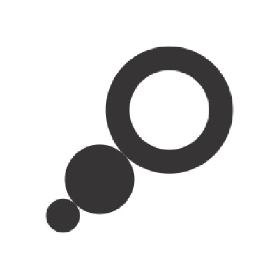 Director, Senior Business Analyst, Software Development, Project Management and UX
