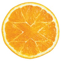 Freelance Senior Designer