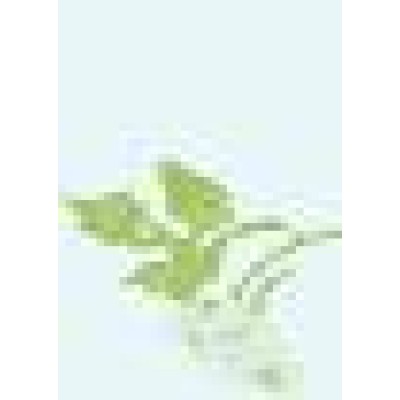 Certified Revenue Examiner
