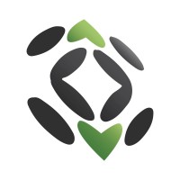Web Designer