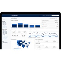 Search Marketing Strategies Consultant