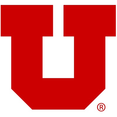 Development Assistant