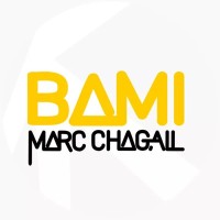 CLIL and Language English teacher
