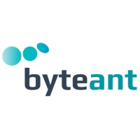 Front-End Developer
