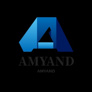 Analyst