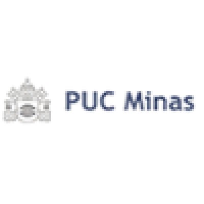 Professor de Pós Graduação