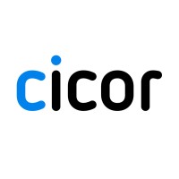 Project Manager