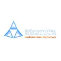Head of Telecommunication Business Division