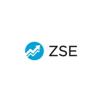 Finance Executive