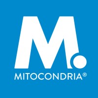 Redactor de Contenidos