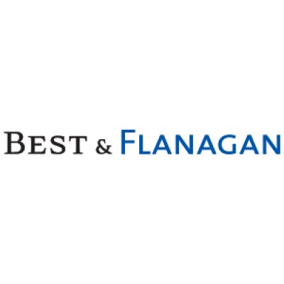 Litigation Paralegal