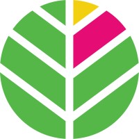 Freelance & Consulting Designer