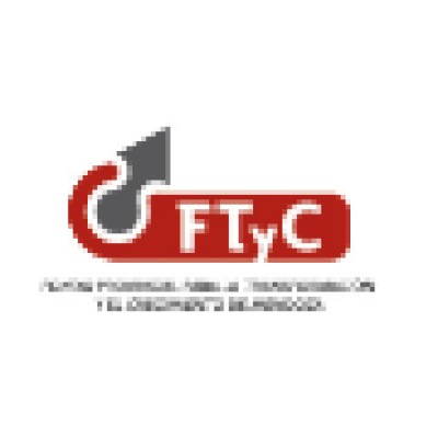 Auditor técnico
