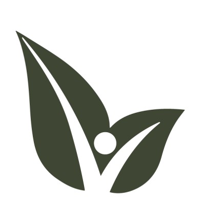 Digital Marketing Freelance