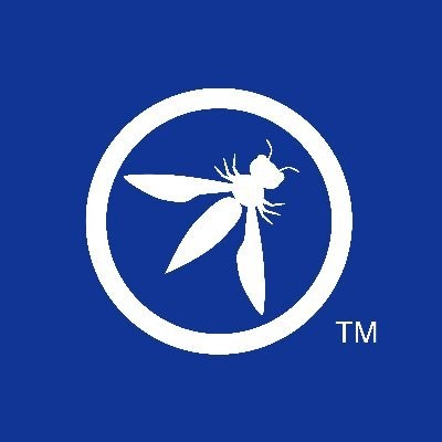 Director, Technology and Projects