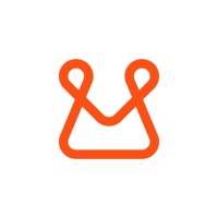 IT Project Manager
