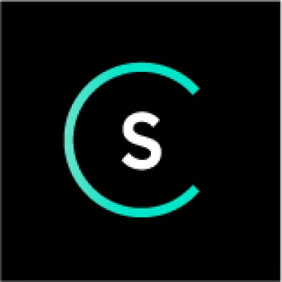 Senior Project Manager