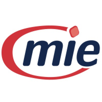 Senior System Analyst