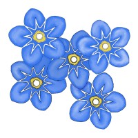Head of Fundraising and Partnerships