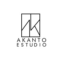 Director de proyecto
