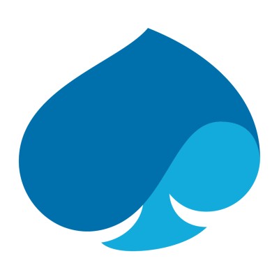 Senior Consultant