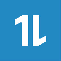 Business Analyst