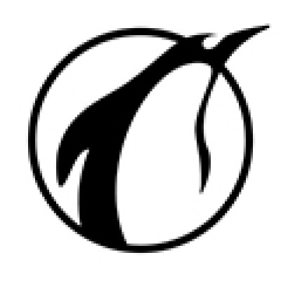 Lead designer