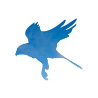 Software Test Engineer
