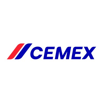 Líder de Marca de Nuevos Proyectos