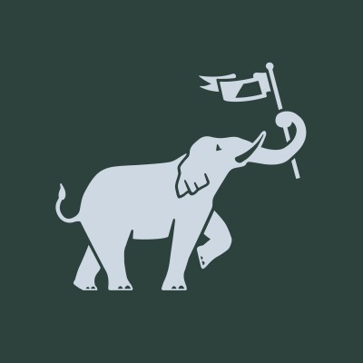 Business Solutions Associate