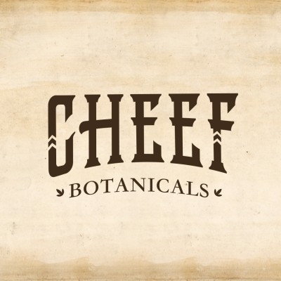 Chief Of Operations