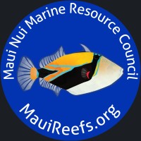 Executive Director