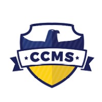 High School English Language Arts and Literature Teacher