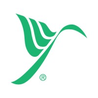 Board Member