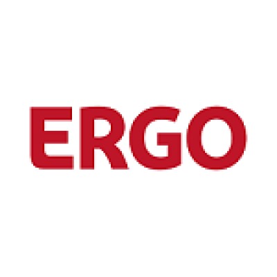 Chief Accountant in ERGO Invest