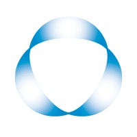 Senior Manager - Projects