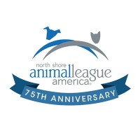 Public Relations/Project Coordinator