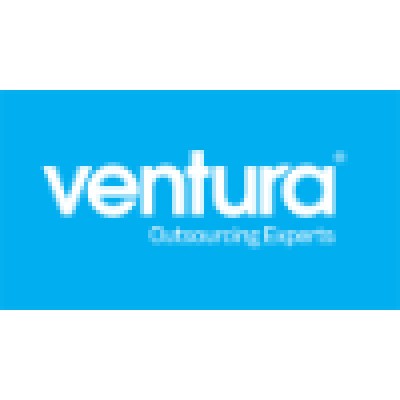 Business Systems Analyst