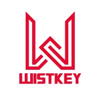 Software Developer