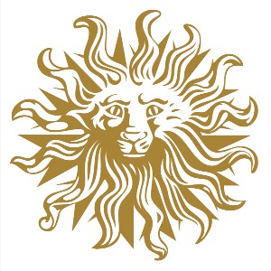 senior art director