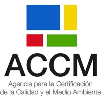 Desarrollador Curso ISO 21500 Gestion de Proyectos
