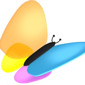 JAVA J2EE engineer