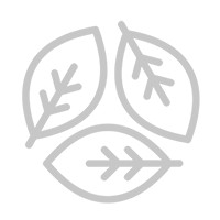 Co-Founder & Lead Developer