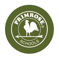 Lead Teacher