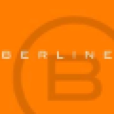 Vice President, Media Director