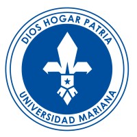 Profesor universitario asistente
