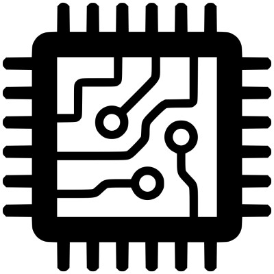 Software Developer