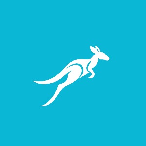 Senior Mobile Engineer