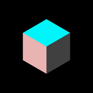 Chief Strategy Officer, Principal